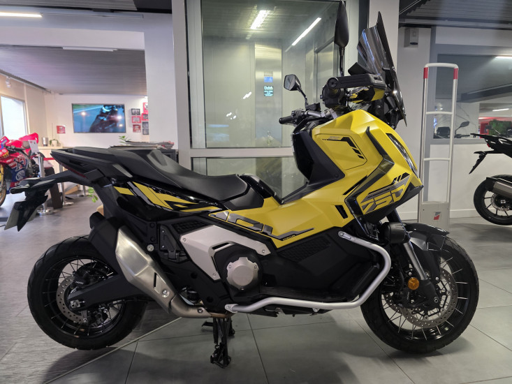 XADV special edition - MARSEILLE